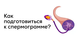 Как правильно подготовиться к сдаче спермограммы?