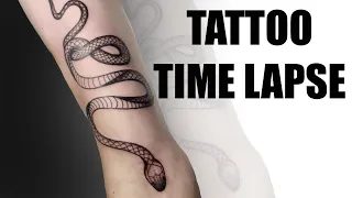 TATTOO TIME LAPSE | Snake Fine Line Tattoo