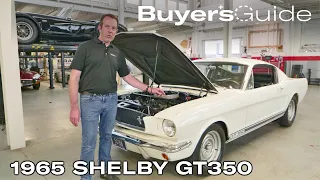 The 1965 Shelby GT350 saved the Mustang | Buyer's Guide | Ep. 302