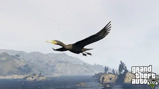 Grand Theft Auto 5   Peyote Plant Locations | Play As Animals Cormorant