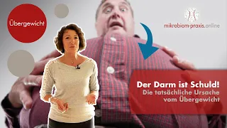 Macht ein kranker Darm dick? Hilfreiche Tipps gegen Übergewicht | Mikrobiom Praxis