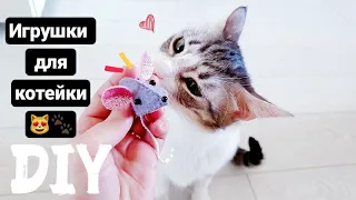 TOYS FOR CATS OWN HANDS DIY life hacks