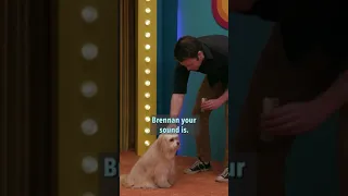 Can You Make Sam's Dog Speak?