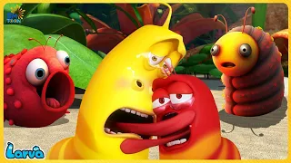 LARVA SEASON 3 EPISODE 257 | CARTOON MOVIES FOR LIFE | CARTOONS MOVIES NEW VERSION