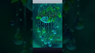 Good Night Status Videos WhatsApp Status Videos Good Night 06/06/2023