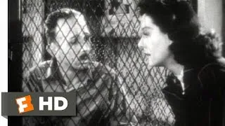 His Girl Friday (1940) - Jailhouse Interview Scene (5/12) | Movieclips