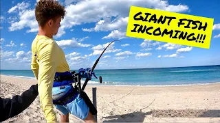 He Crushed His PB TWICE IN ONE DAY! | Shark Fishing From The Beach