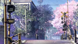 5 Centimetres Per Second: Cherry Blossom Extract Extended