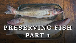 How to preserve fish (3 ways) Part 1