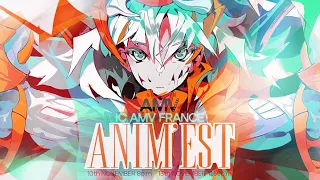 [PROMO] IC AMV FRANCE -  ANIM'EST | 10/11/22 - 13/11/22