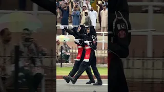 Wagah Border Prade 😍 #viral #shortsfeed #ytshorts #trending