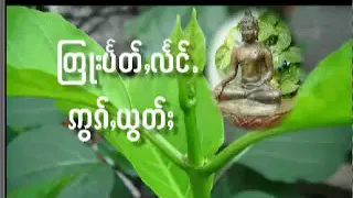 ၾတꨣး ပꨰတ္ꨲလꨰင္ꨵꨡြꨀ္ꨲယြတ္ꨳ  ြတႃးပႅတ်ႇလႅင်ႉဢွၵ်ႇယွတ်ႈ