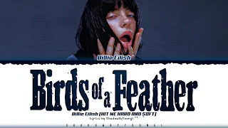 Billie Eilish 'BIRDS OF A FEATHER' Lyrics (Color Coded Lyrics) | ShadowByYoongi
