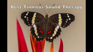 Best Tinnitus Sound Therapy 10 Hours Nature Sounds