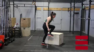 Lateral Burpees Box Step Overs