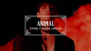 tvxq | super junior • ANIMAL