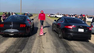 Jaguar Xf Vs Mustang Gt,And More...New year races.