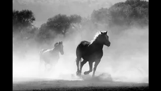 Asmr медитация, звук лошадей, коней.