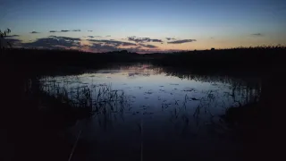 Per vieną dieną bandžiau atsidaryti sezoną su pludem ir lydekų su spinigu. Blynas 🥞 prisvylo....