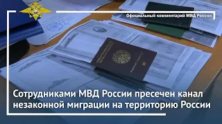 Ирина Волк: Сотрудниками МВД России пресечен канал незаконной миграции на территорию России