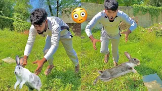 Rabbit Bhag Gaye 🐇 ( Mushkil Se Pakd Kar Laye Zoo Me😳