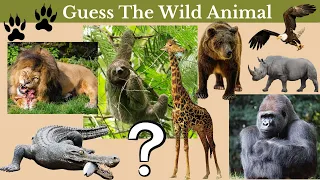 Explore and Guess The WILD ANIMALS | Easy Level | Fun Time