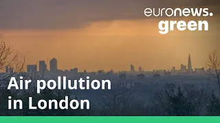 London's air pollution could be a ticking bomb for children's health