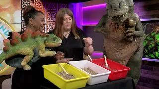 The Daily Blend w/ AC: Jill Dudley, Show-Me Dinosaurs