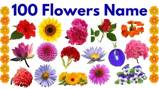 100 Flowers name in English | Flowers Name for kids | Flowers Name Video | Flowers Name and Pictures