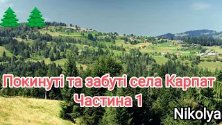 Забуті та малонаселені села України! Частина 1! 🌲🏚️#карпати @nikolyaua