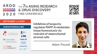 Adam Freund - Inhibition of longevity regulator PAPP-A modulates tissue homeostasis