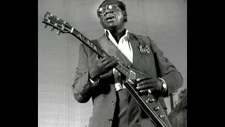 Albert King - I'll Play The Blues For You