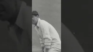 🏏 The Great, Sir Donald Bradman #shorts