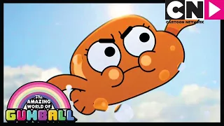 Darwin's Story | Gumball | Cartoon Network