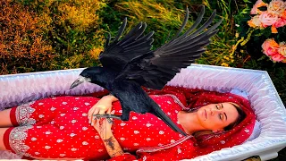 During the funeral, a raven sat on his wife's grave! Then the incredible happened!