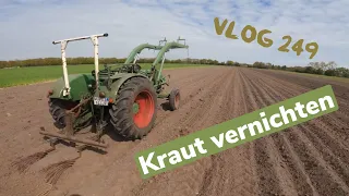 Farmvlog #249 | Kartoffeln Striegeln mit Fendt Farmer 2D