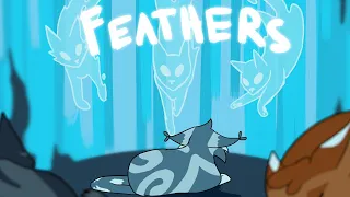 FEATHERS // feathertail pmv