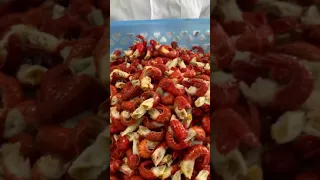 ASMR (COOKING & EATING) SPICY SEAFOOD#382