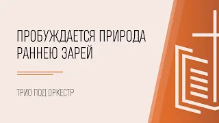 Пробуждается природа раннею зарей / трио под оркестр