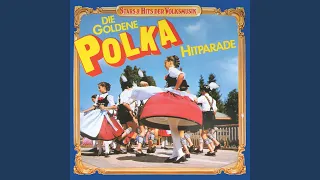 Amboß-Polka (Polka)