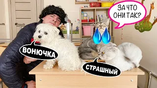 КОТА БЕЗ ЛАПКИ ДРАЗНЯТ В ШКОЛЕ! 2 СЕРИЯ