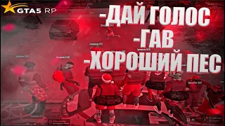 ОПУСТИЛИ ПСОВ НА СЕРВЕРЕ В GTA 5 RP