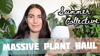 *MASSIVE* Plant Haul || Summer 2020 Collective 💕