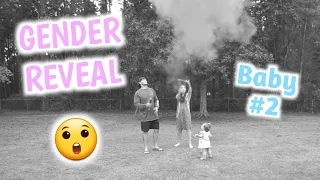 SHOCKING GENDER REVEAL! | BABY NUMBER 2 | Erika Ann