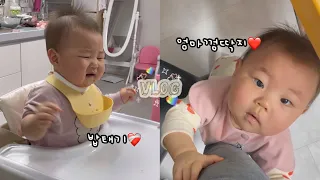 10개월 먹짱아기에게도 찾아온 밥태기…❤️‍🩹🐰숟가락쟁탈전, 엄마껌딱지💘,평창한우마을🥩