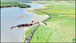 Zhaosu Wetland Park, Xinjiang