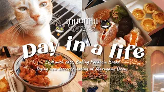 Day in a Life✨| Life of a Freelancer | Eating Out 🍪🍛, Baking Focaccia Bread 🍞, Chill with cats 😸✧.*