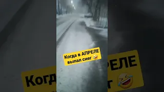 Когда в АПРЕЛЕ выпал снег . Апокалипсис в Павлодаре #снегвапреле