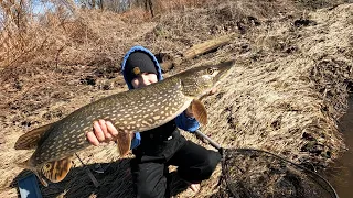 Small Creek Pike Adventure - NE OH