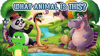 ANIMALS FOR KIDS  Teach your baby to learn the names of Hippopotamus Turtle Bat Snake Panda Turtl TV